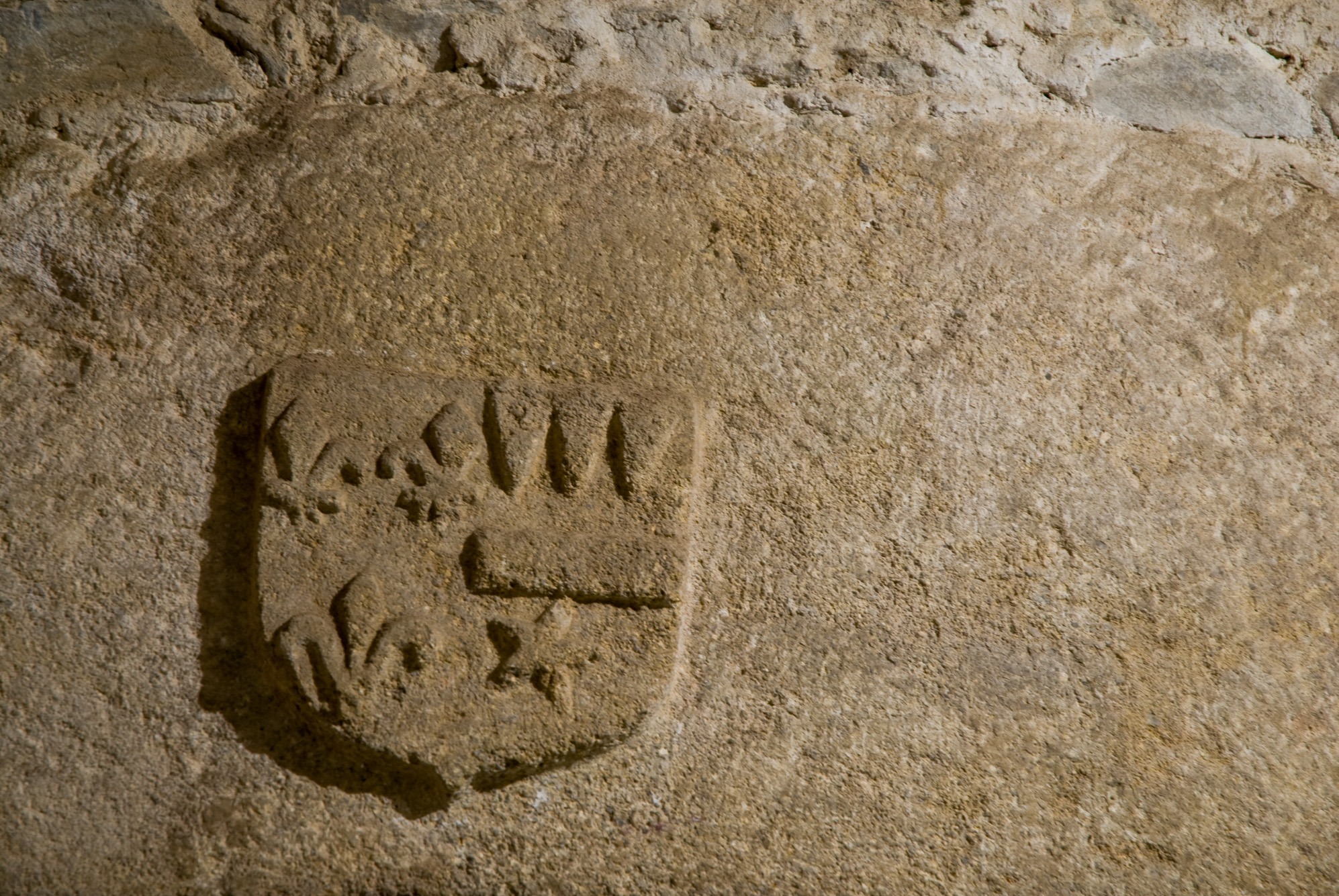 Château de Peyras. Blason d'un seigneur ayant vécut ici.
