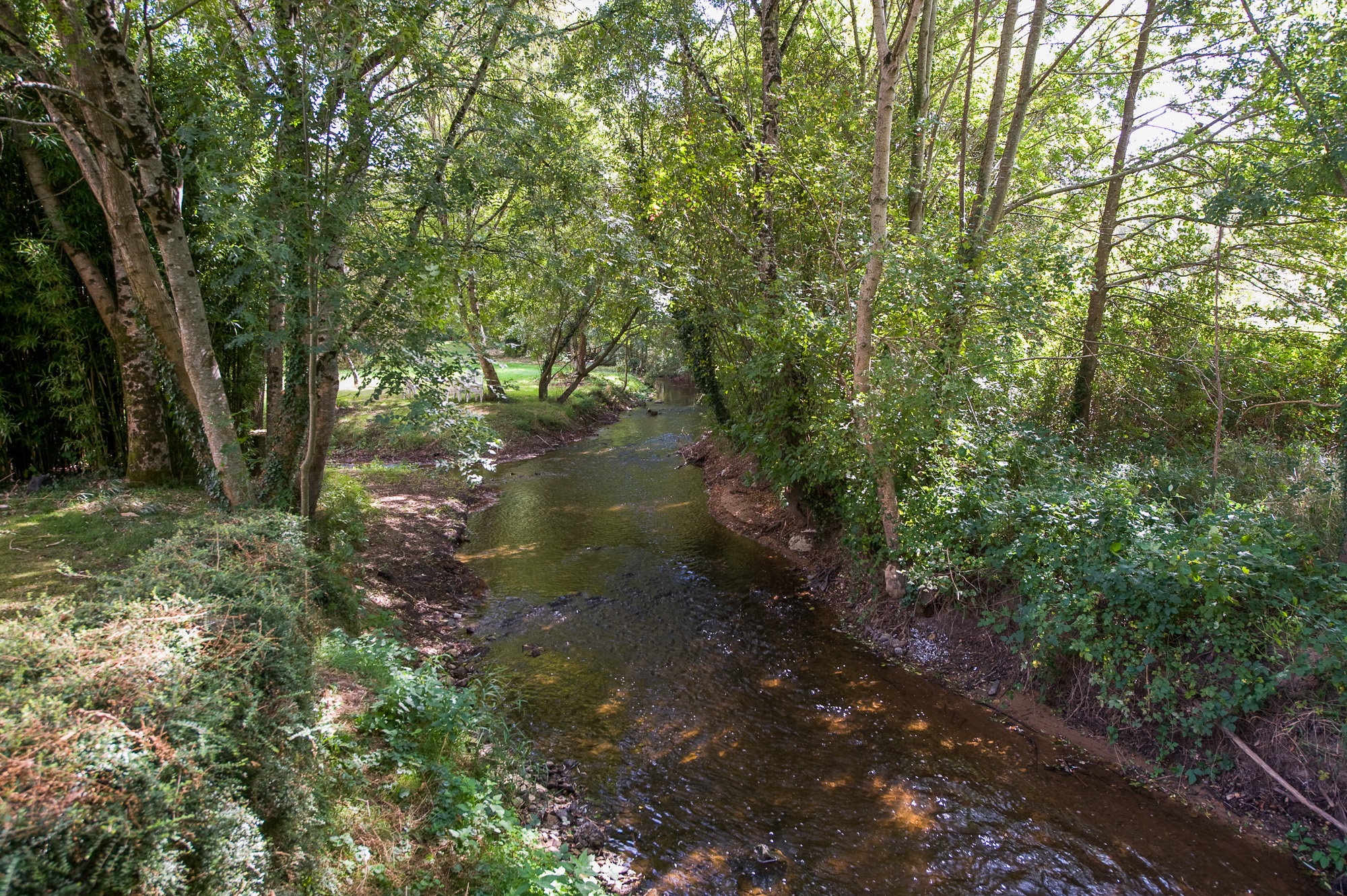 Moulin de la Forge
