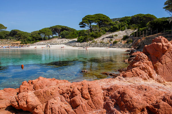 Corse