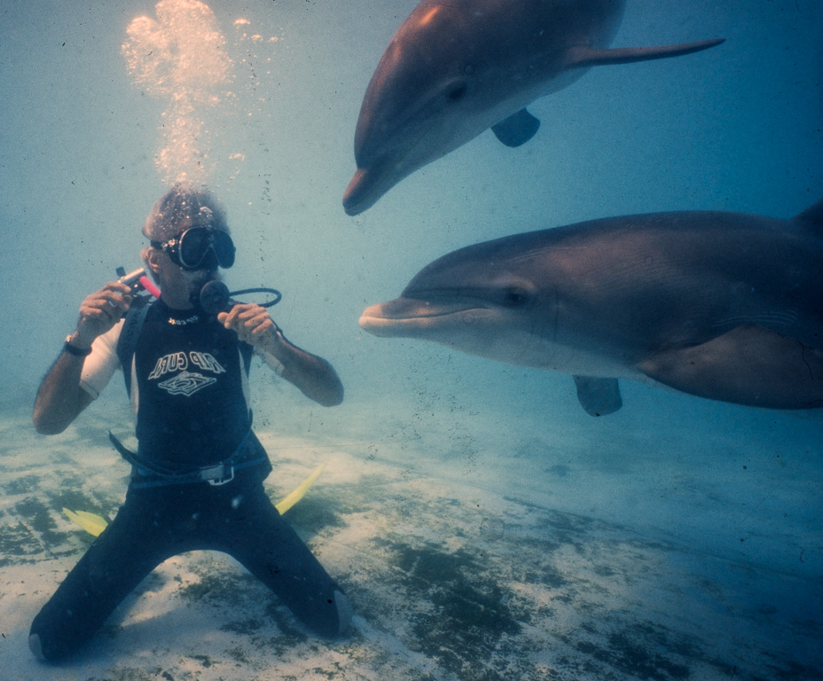 Bonne Soirée - France. Plongée avec les dauphins dans le delphinarium d'Antibes.