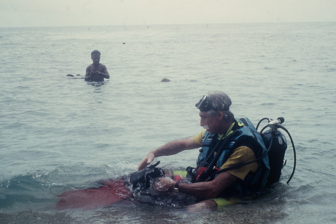 Figaro-Magazine. Nouvelle Guinée Papouasie. Plongée sur les épages de la Guerre du Pacifique dans la mer de Corail.