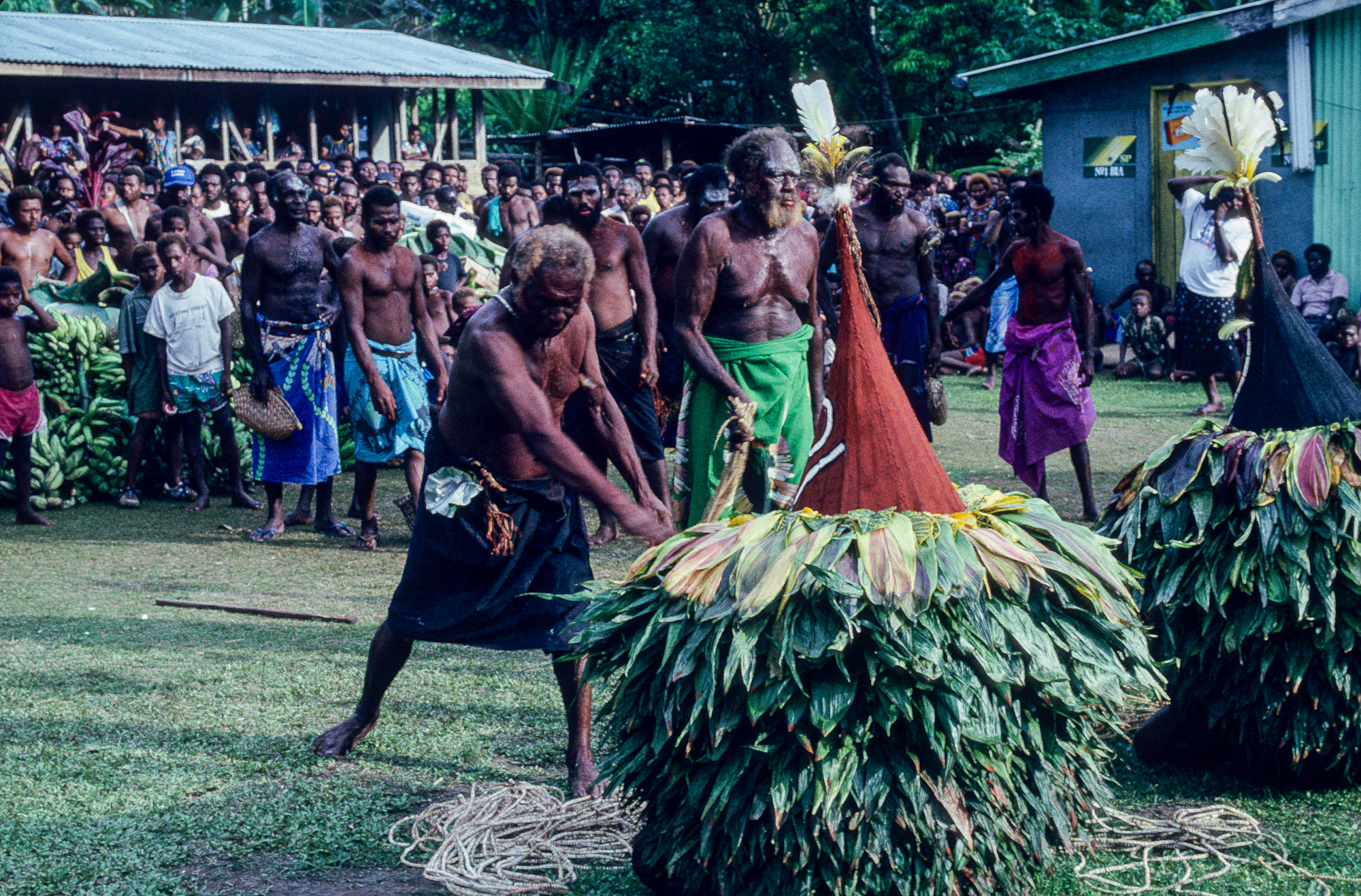 Nouvelle Guinée Papouasie. Rabaul, tribu des Tolaï. Les duk-duks sont frappés à l'aide de colliers de kinas.
