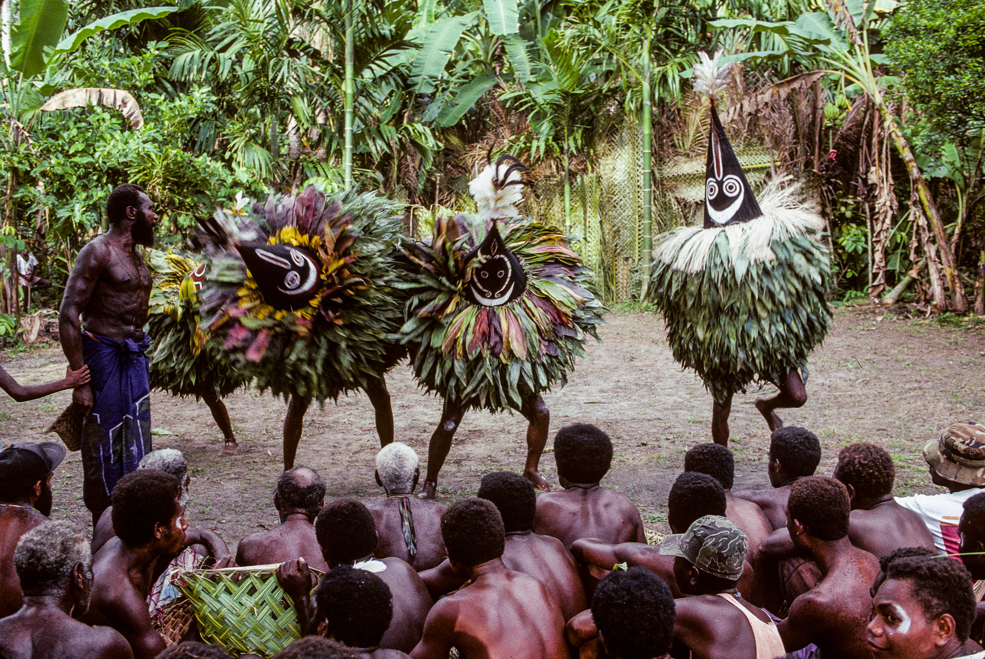 Nouvelle Guinée Papouasie. Rabaul, tribu des Tolaï.  Les duk-duks entament des danses rituelles.