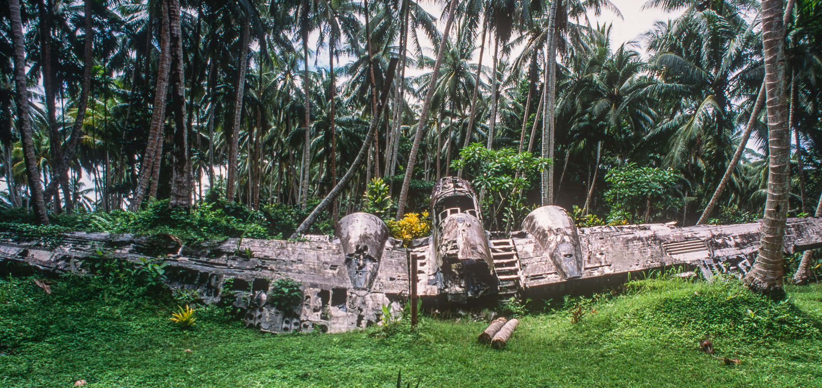 Un bombardier en aluminium émerge d'une clairière entourée de cocotiers.