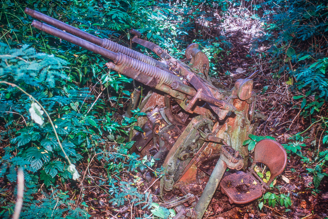 Mitrailleuse abandonnée en pleine jungle.