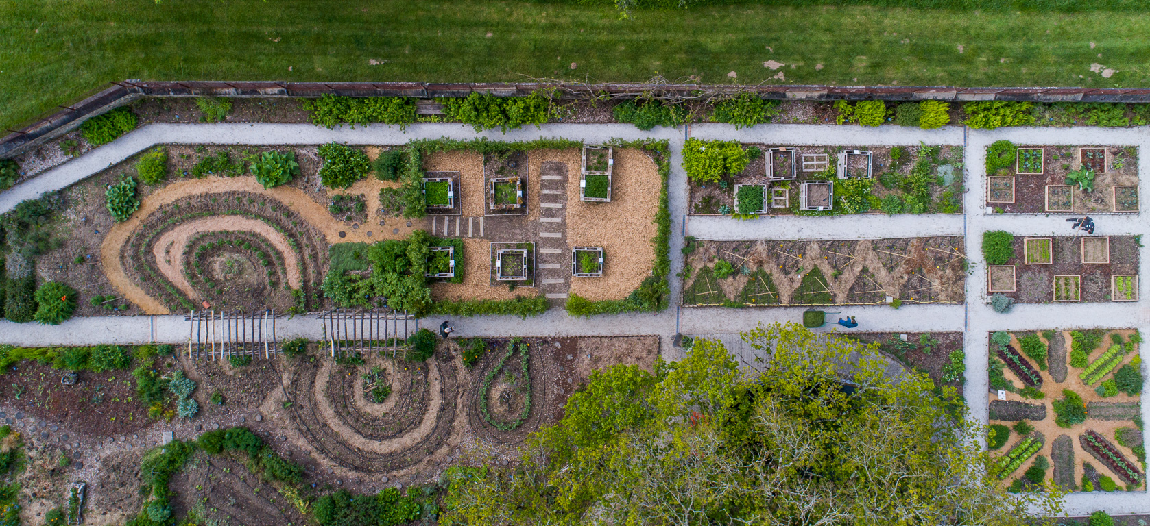 Saint-Léonard-des-Bois. Domaine du Gasseau, le jardin potager.