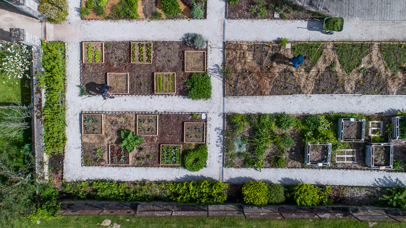 Saint-Léonard-des-Bois. Domaine du Gasseau, le jardin potager.