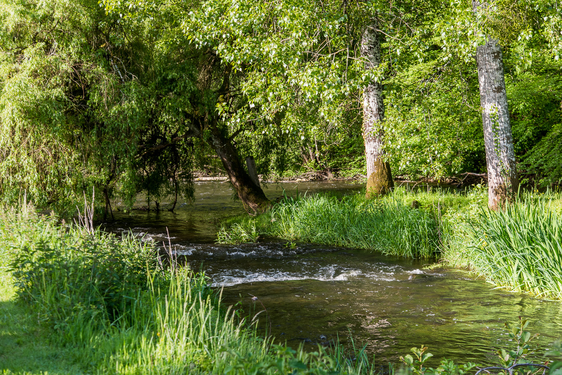 Saint-Léonard-des-Bois. Moulin de l'Inthe.