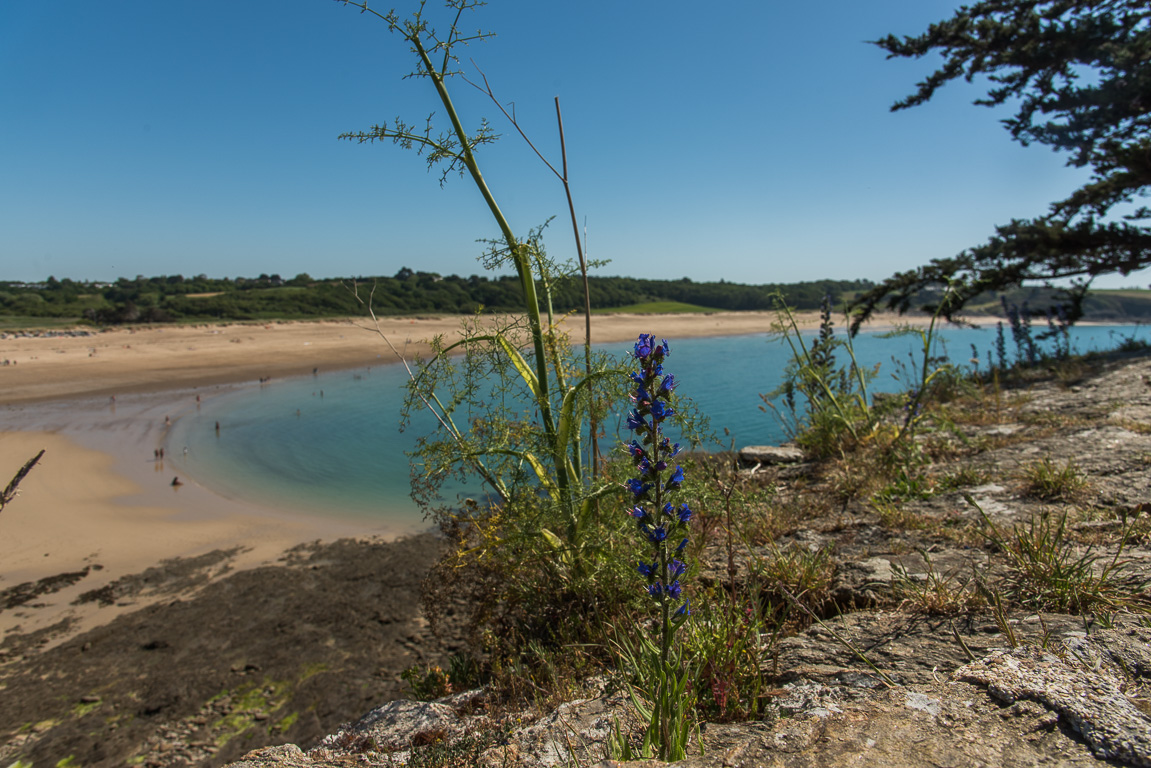 Saint-Coulomb, île Du Guesclin