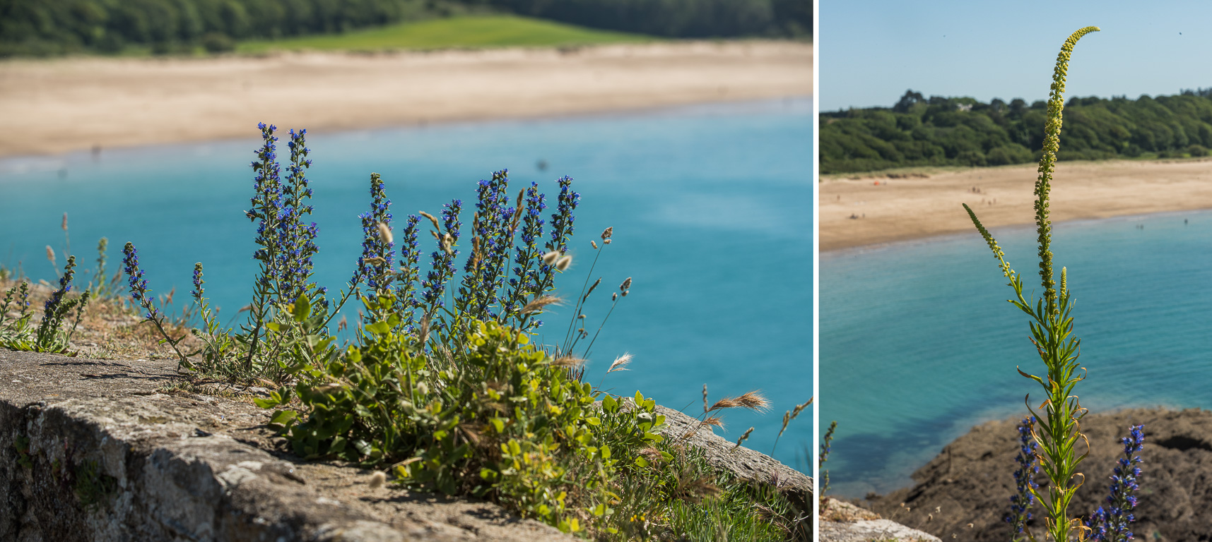 Saint-Coulomb, île Du Guesclin