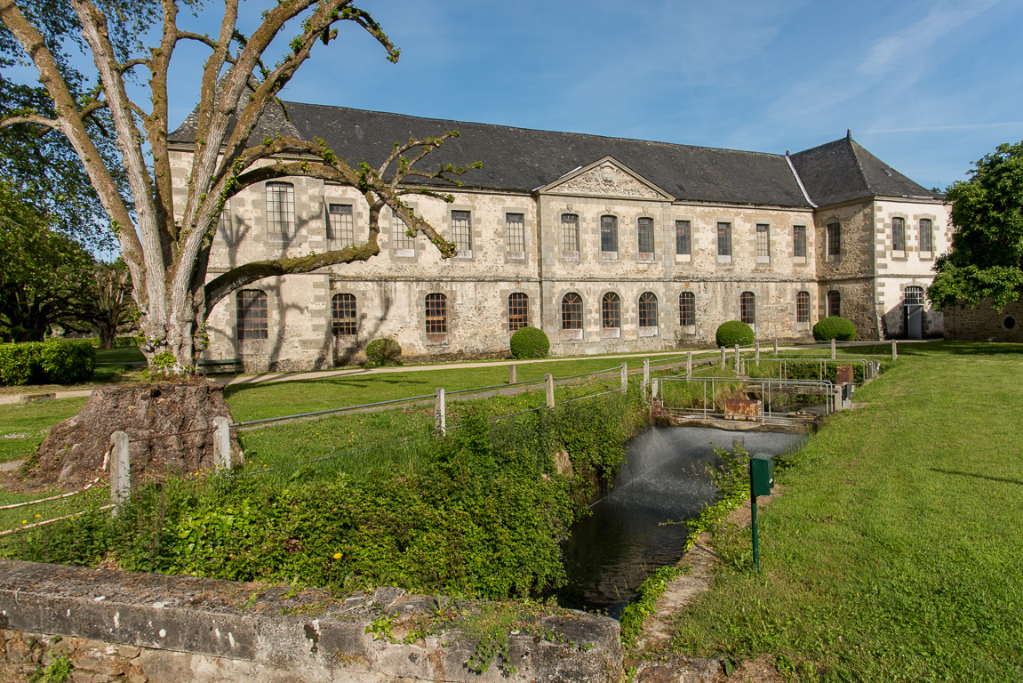 Fontaine Daniel. L'abbaye (est privée et ne peut se visiter qu'en groupes organisés depuis l'O.T.) et les ateliers de tissage de Toile de Mayenne.