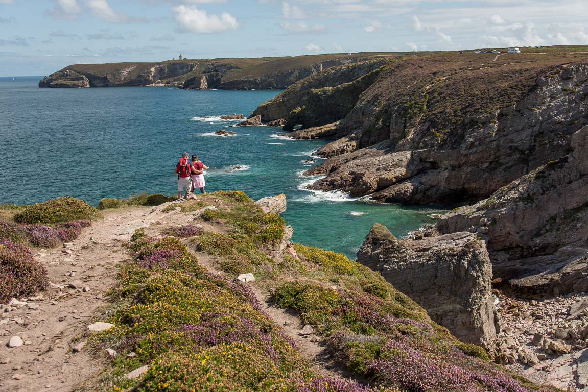 Cap-Fréhel. Promenade sur le sentier de randonnée.