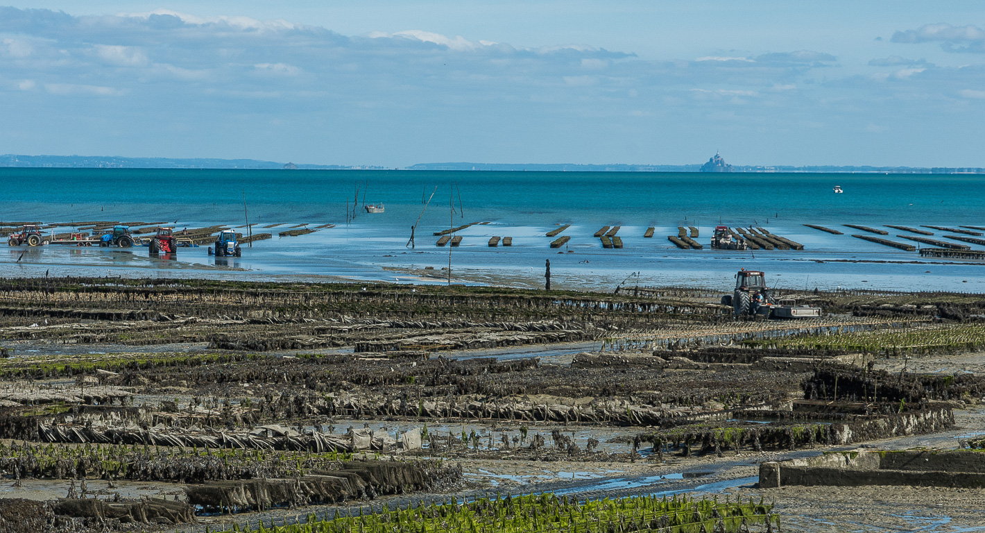 Cancale. Le parc ostreïcole.