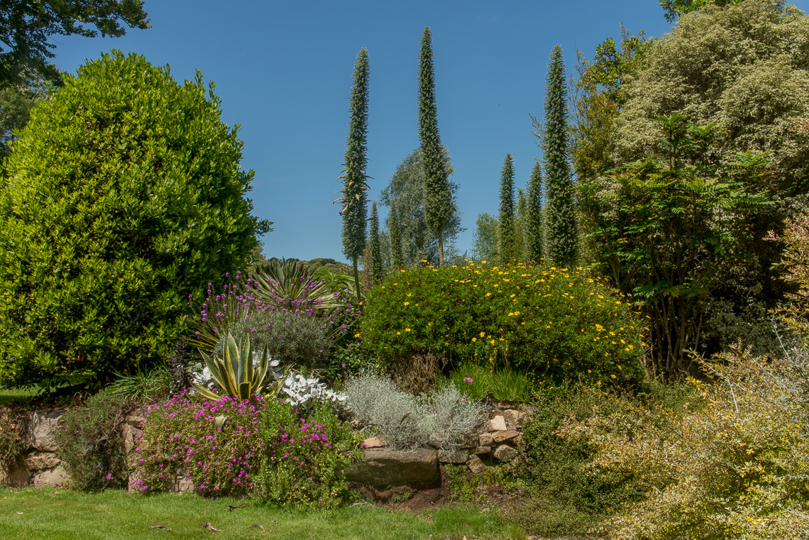 Penvénan, Jardins du Pellinec.