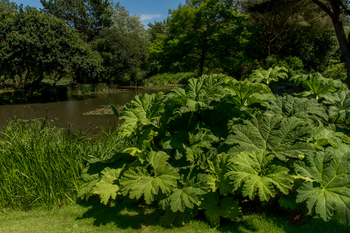 Penvénan, Jardins du Pellinec.