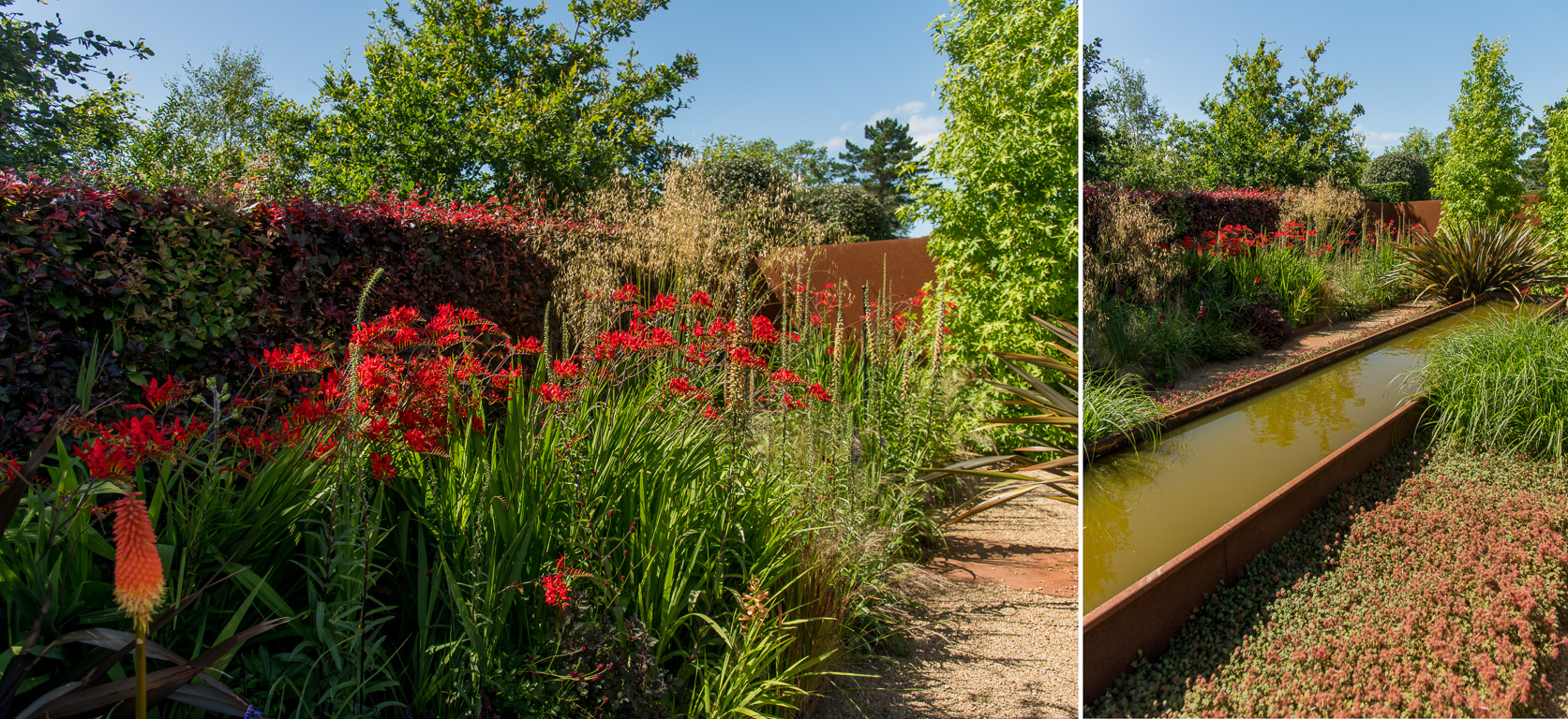 Plouëc-du-Trieux, les  Jardins de Kerfouler. Tout feu tout flamme.