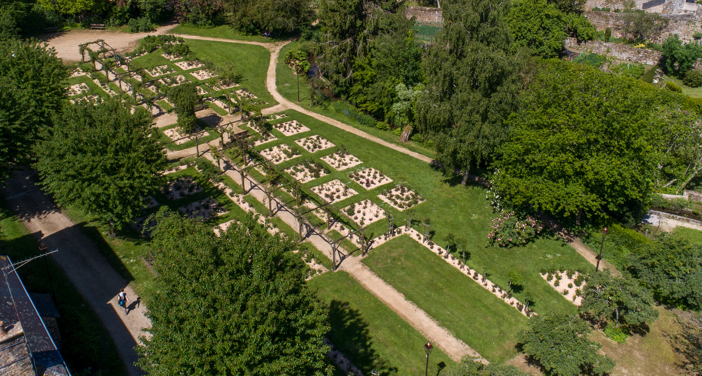 Lassay-les-Châteaux. La roseraie.