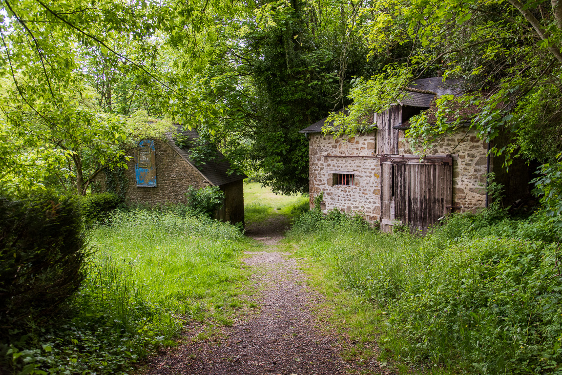 Lassay-les-Châteaux. Dans le Parc au bas du château.