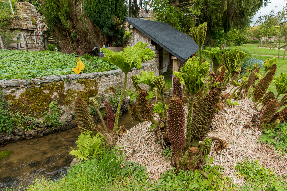 Lassay-les-Châteaux. Un des nombreux lavoir de la cité.