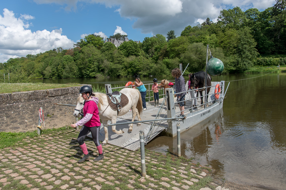 Ménil. Passage des chevaux de Trait Nature par le bac à chaîne.