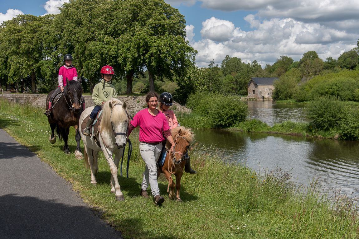 Ménil. Les chevaux de Trait Nature en promenade le long du chemin de halage.