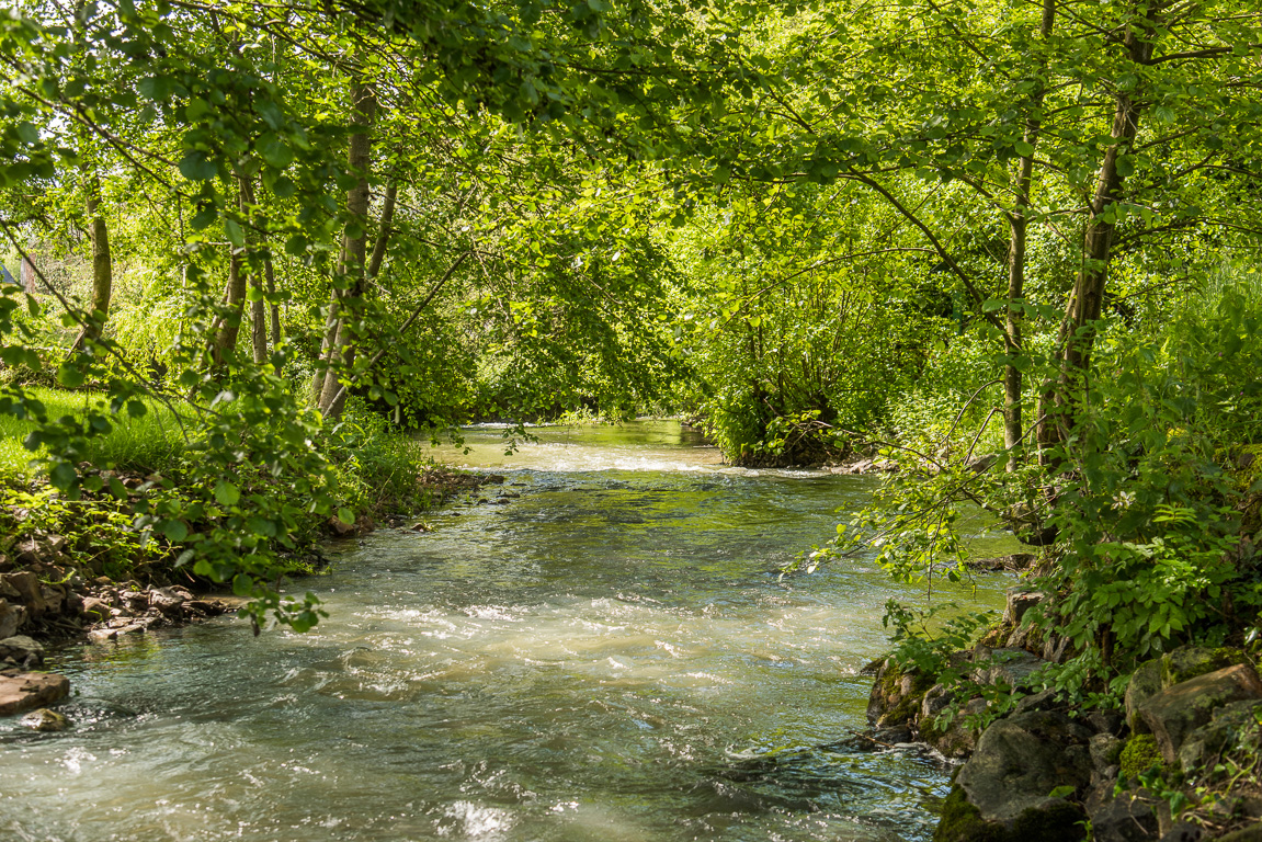 Sainte-Suzanne.. L'Erve à la Rivière.