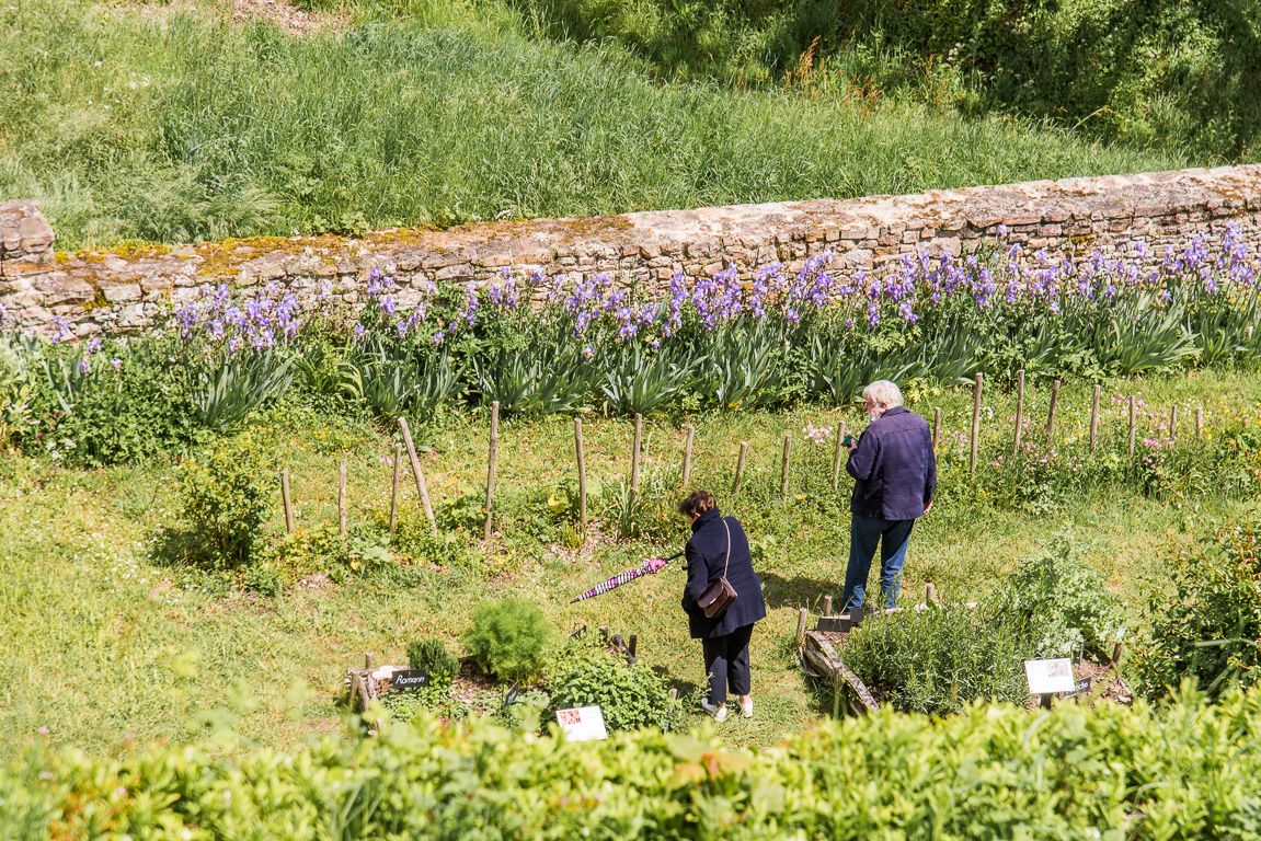 ainte-Suzanne.. Le jardin médiéval.