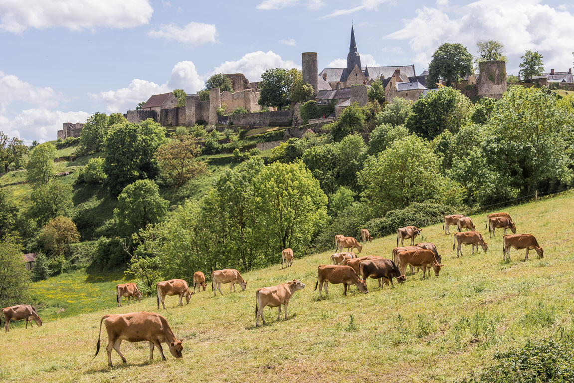 Sainte-Suzanne vue de nord-est.