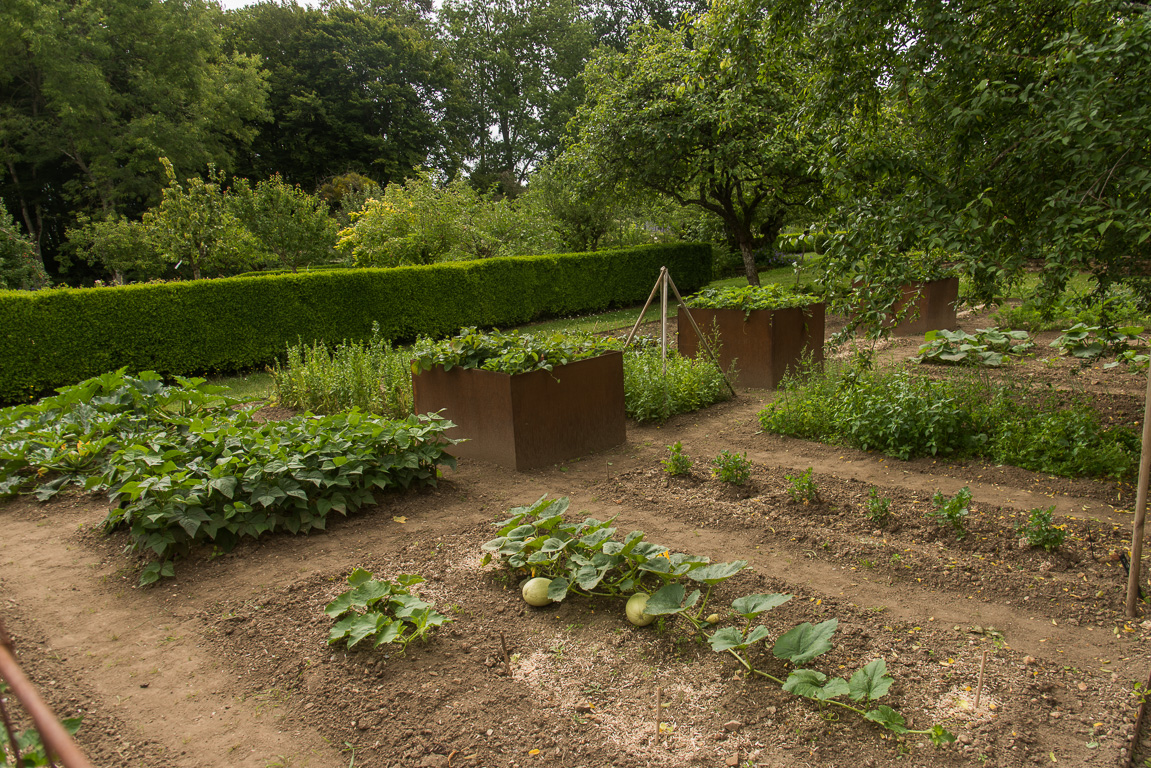 Le  jardin potager du  collège Royal.