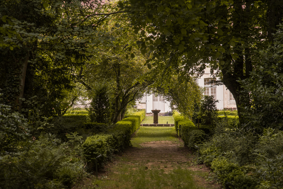 La  petite "forêt" du Collège Royal. Stéphane a eu envie de la conserver dans un esprit très naturel. avec quelques minuscules chemins qui jouent avec les perspectives sur sa demeure.