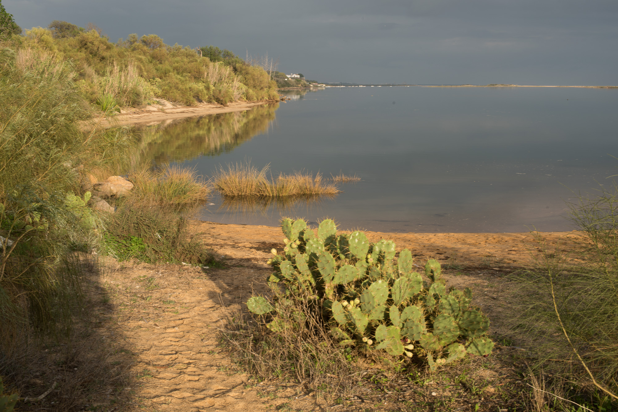 Calca Velha - praia da Quinta da Ria