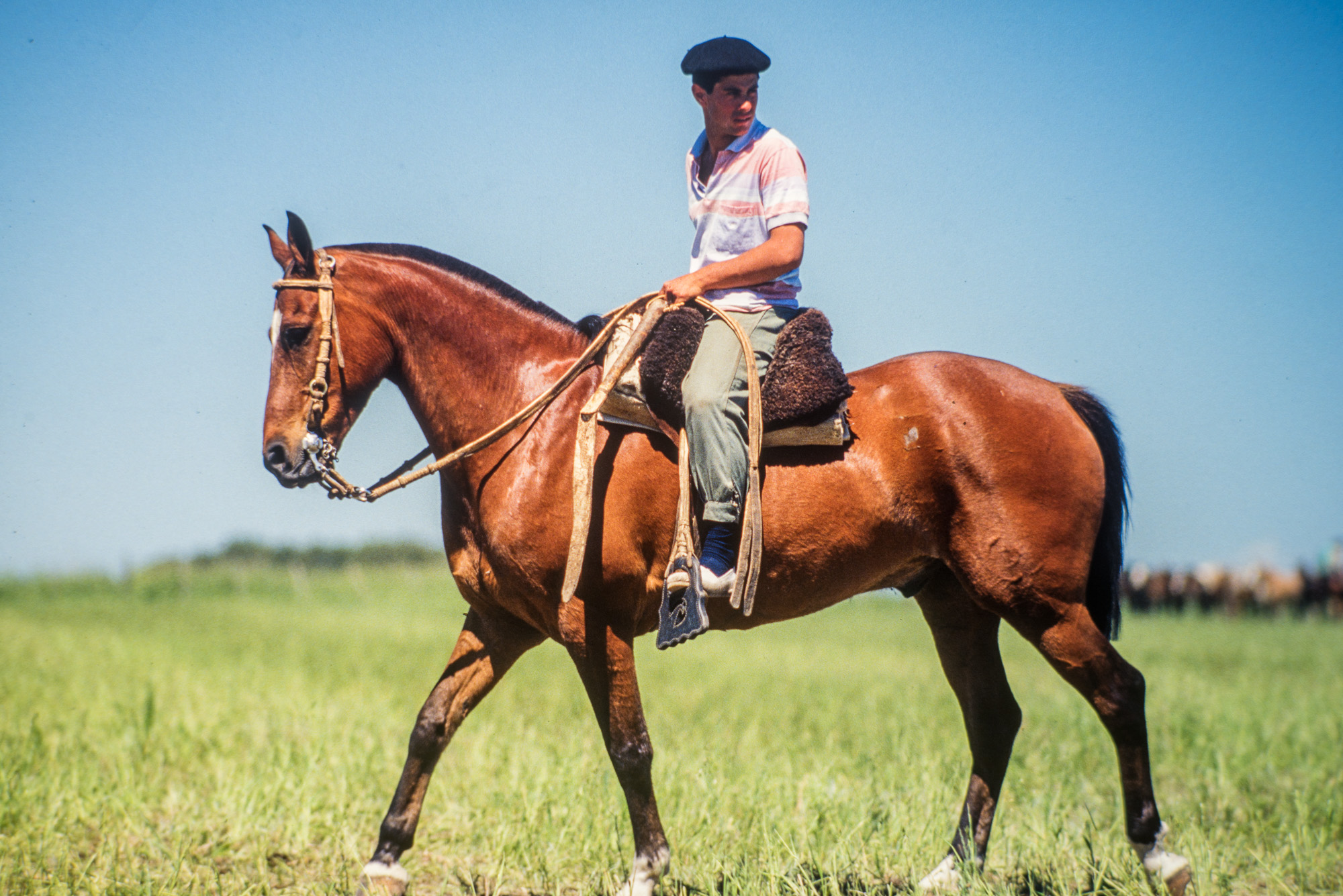 Français installés depuis un siècle et demi.Lors d'une Doma (rodéo) l'apadrinador protège le gaucho.