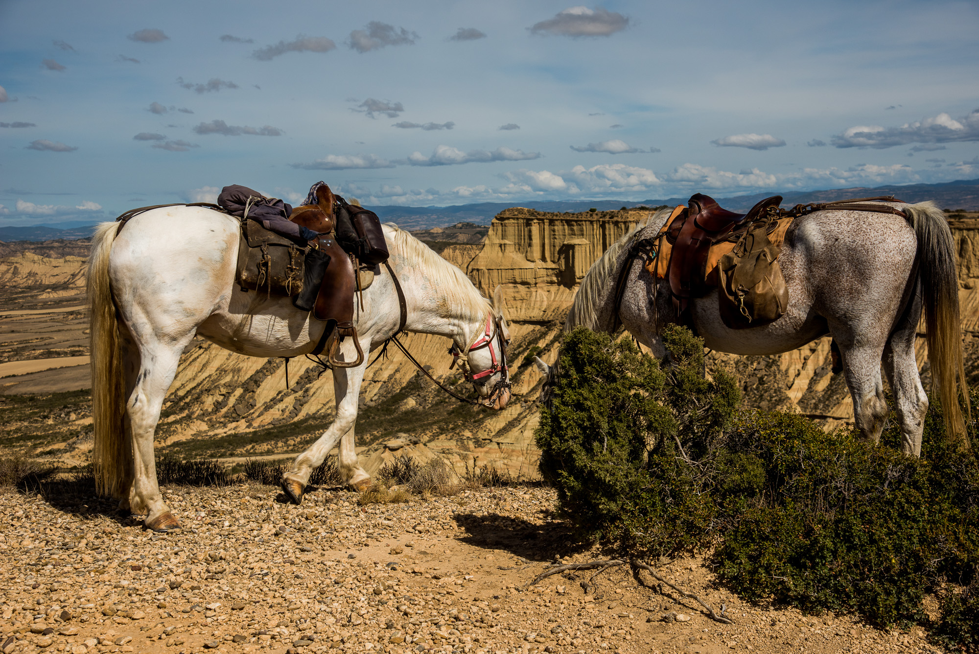 Promenade à cheval dans el Rallon avec Bardenas Aventure