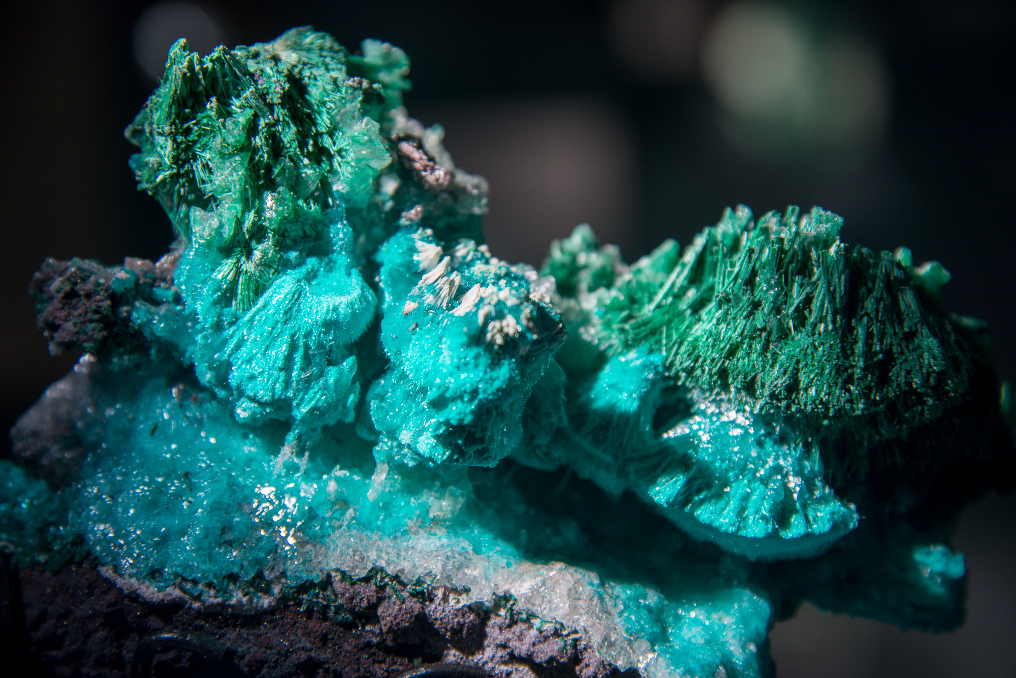 Minerai de malachite extrait du sous-sol et présenté dans les vitrines du Mining & Historical Museum