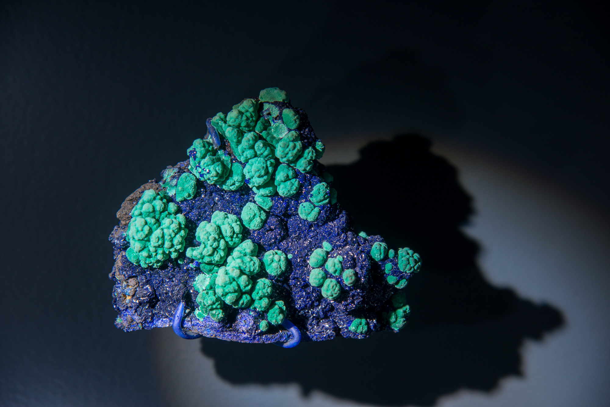 Minerai d'azurite (bleue) entouré de concrétions de malachite (verte) extrait du sous-sol et présenté dans les vitrines du Mining & Historical Museum