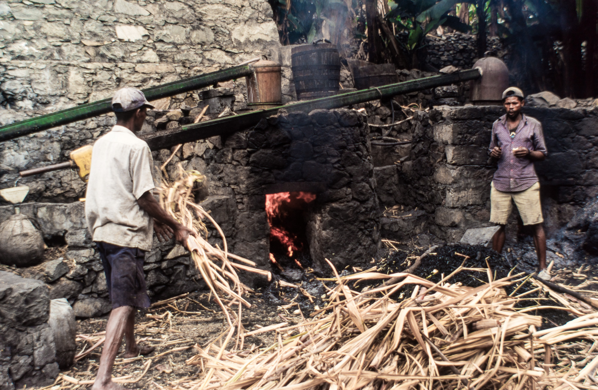 Ribeira Grande. Rhumerie traditionnelle. La canne est distillée de manière archaïque, mais elle donne un rhum, classé comme un des meilleurs au monde.