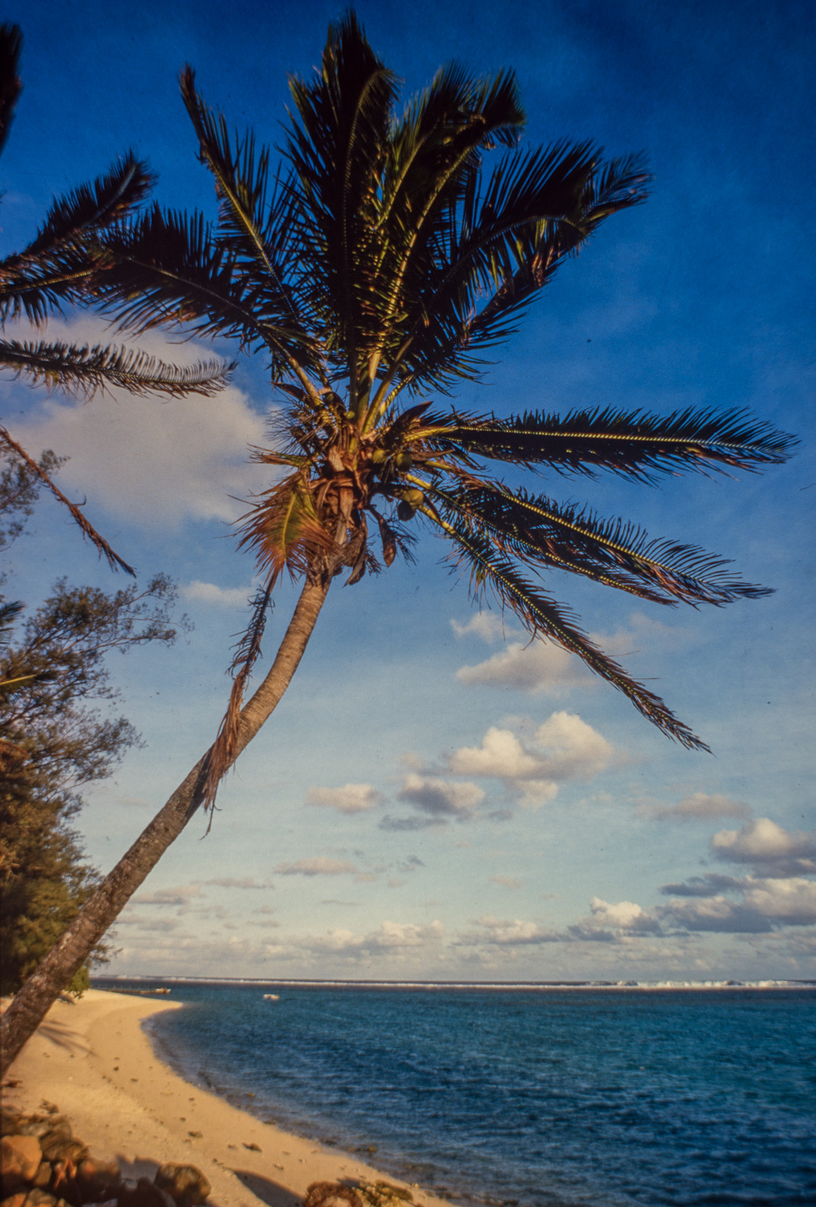 Rarotonga. Plage hôtel