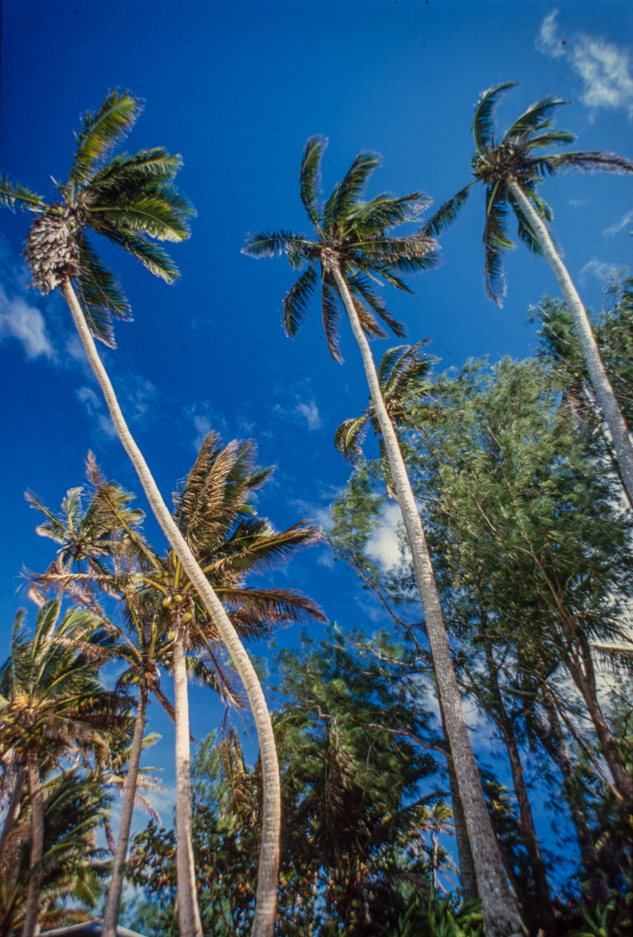 Rarotonga. Le lagon de Muri Beach.