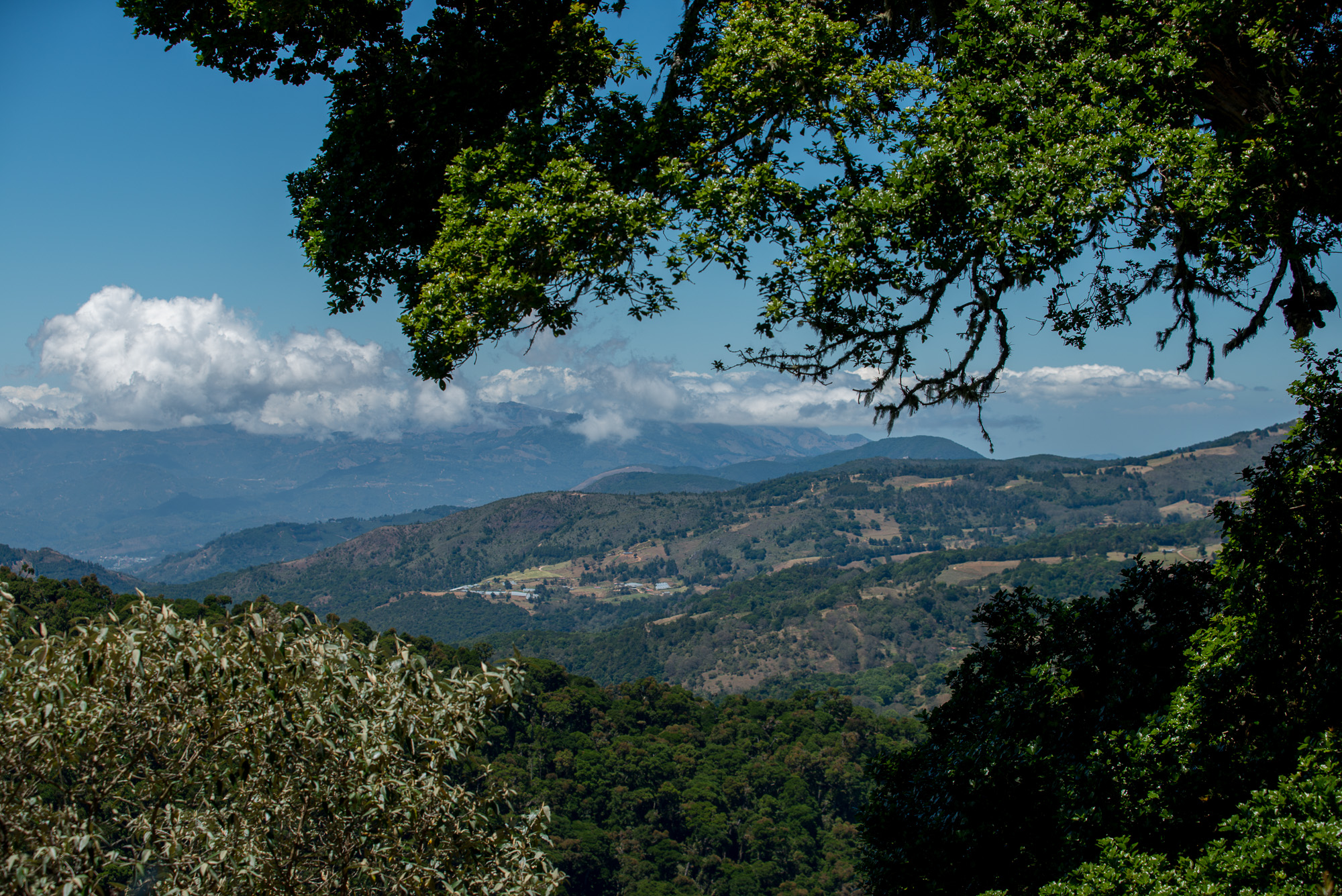 Parc des quetzales