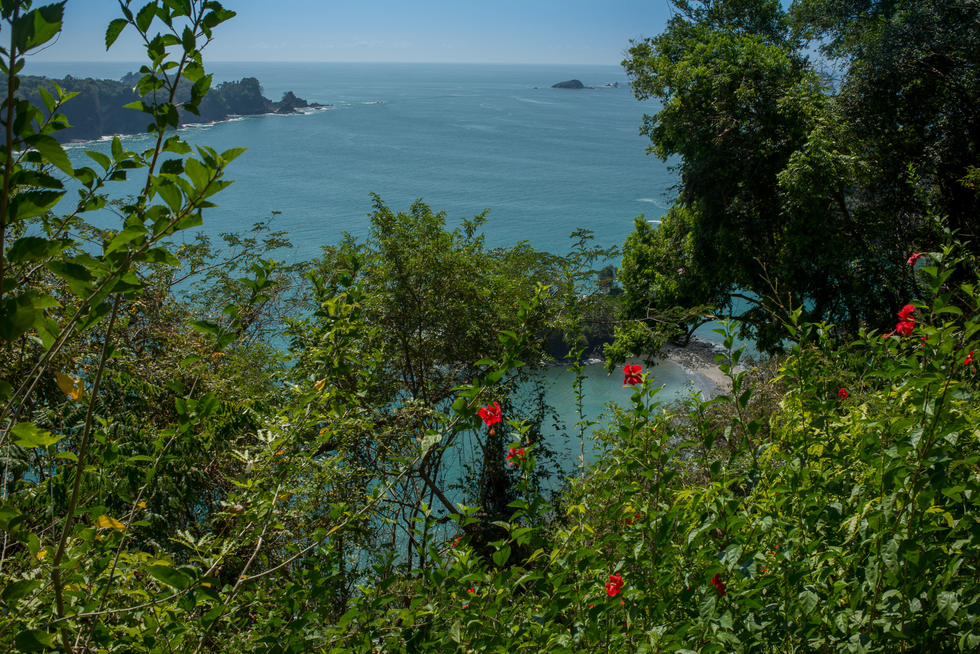 Parc National Manuel Antonio