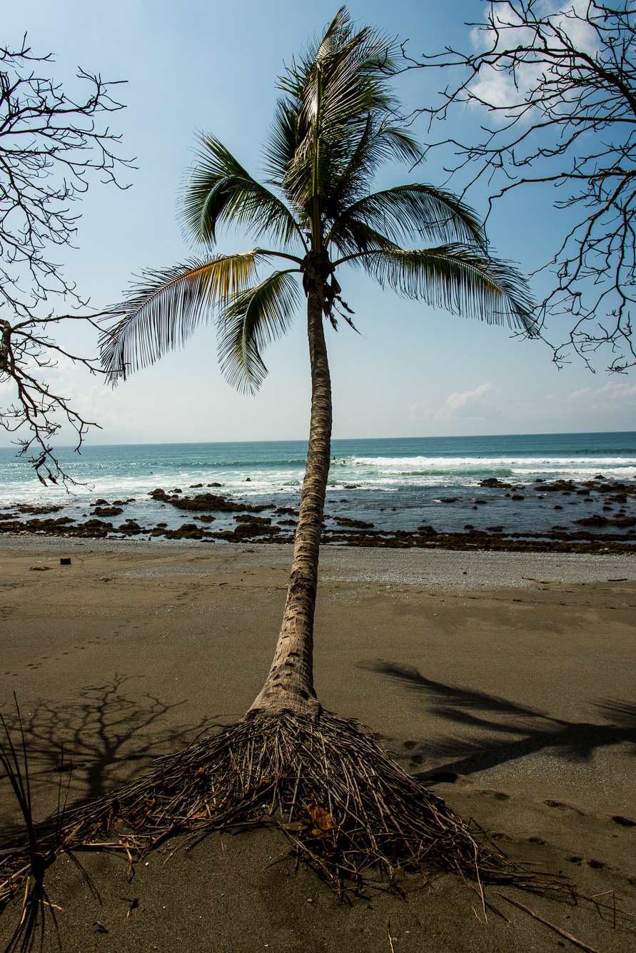 Puerto Jimenes