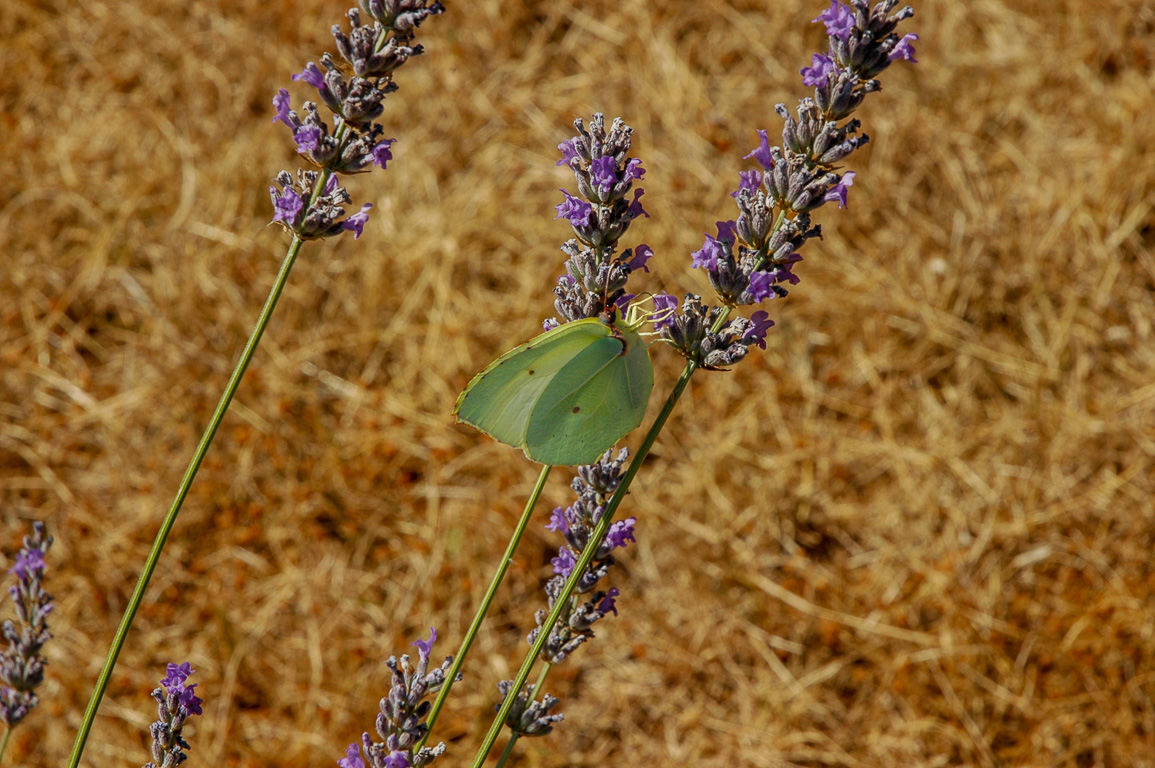 Le parc National de Plivice.