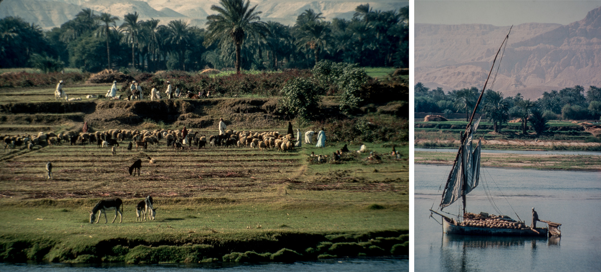 Les berges du Nil n'ont guère changé depuis deux mille ans.