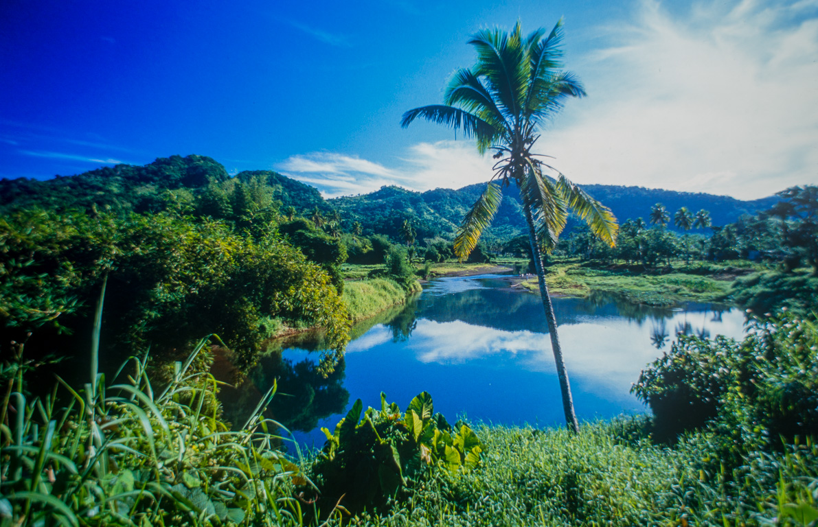 Savu-Savu. Nakawaqa Rainforest, une jungle tropicale à tout juste 25 km du centre ville