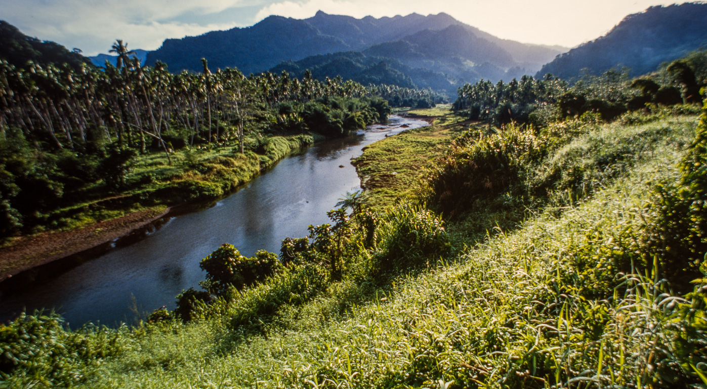 Savu-Savu. Nakawaqa Rainforest, une jungle tropicale à tout juste 25 km du centre ville