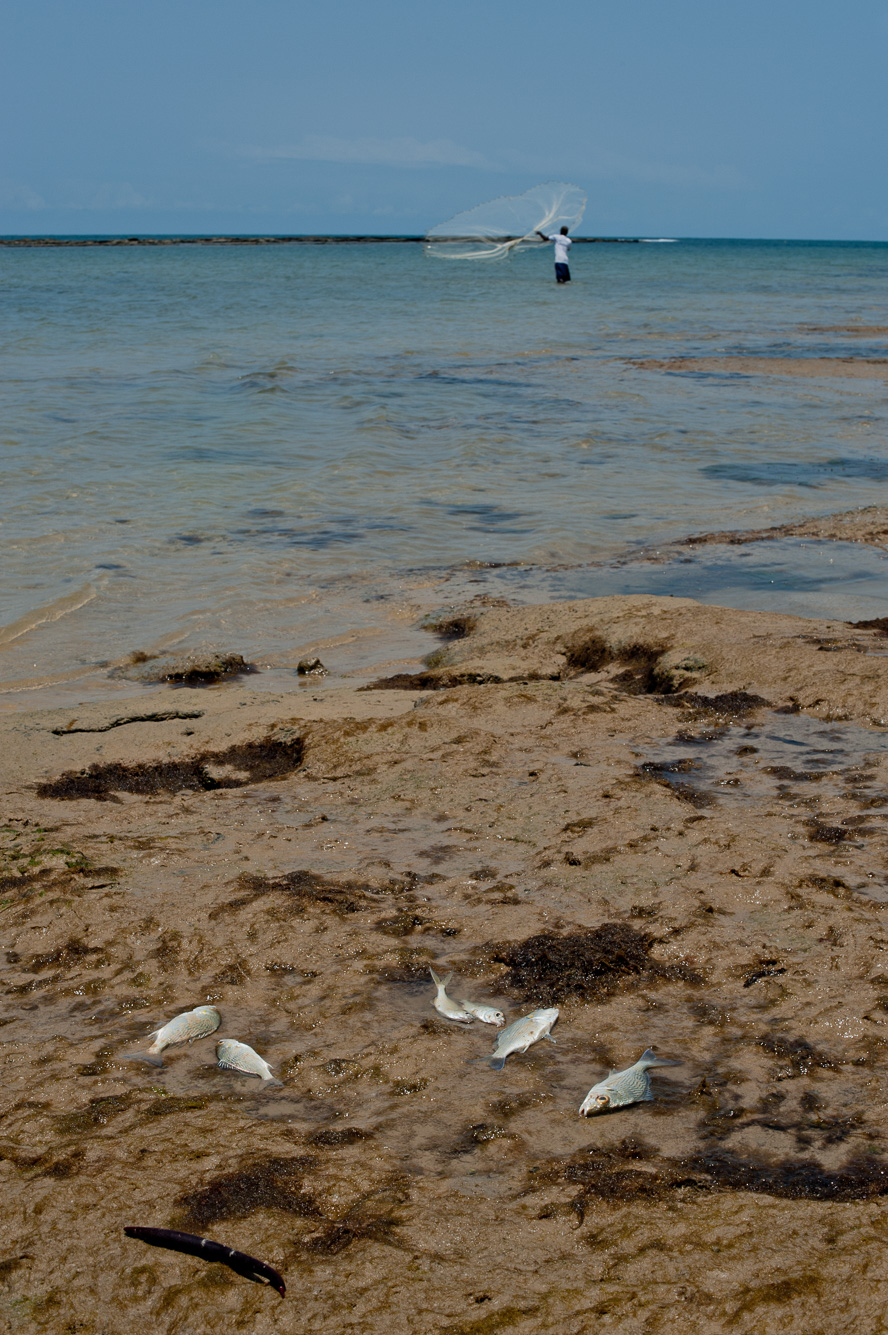 Pêche a l'épervier.