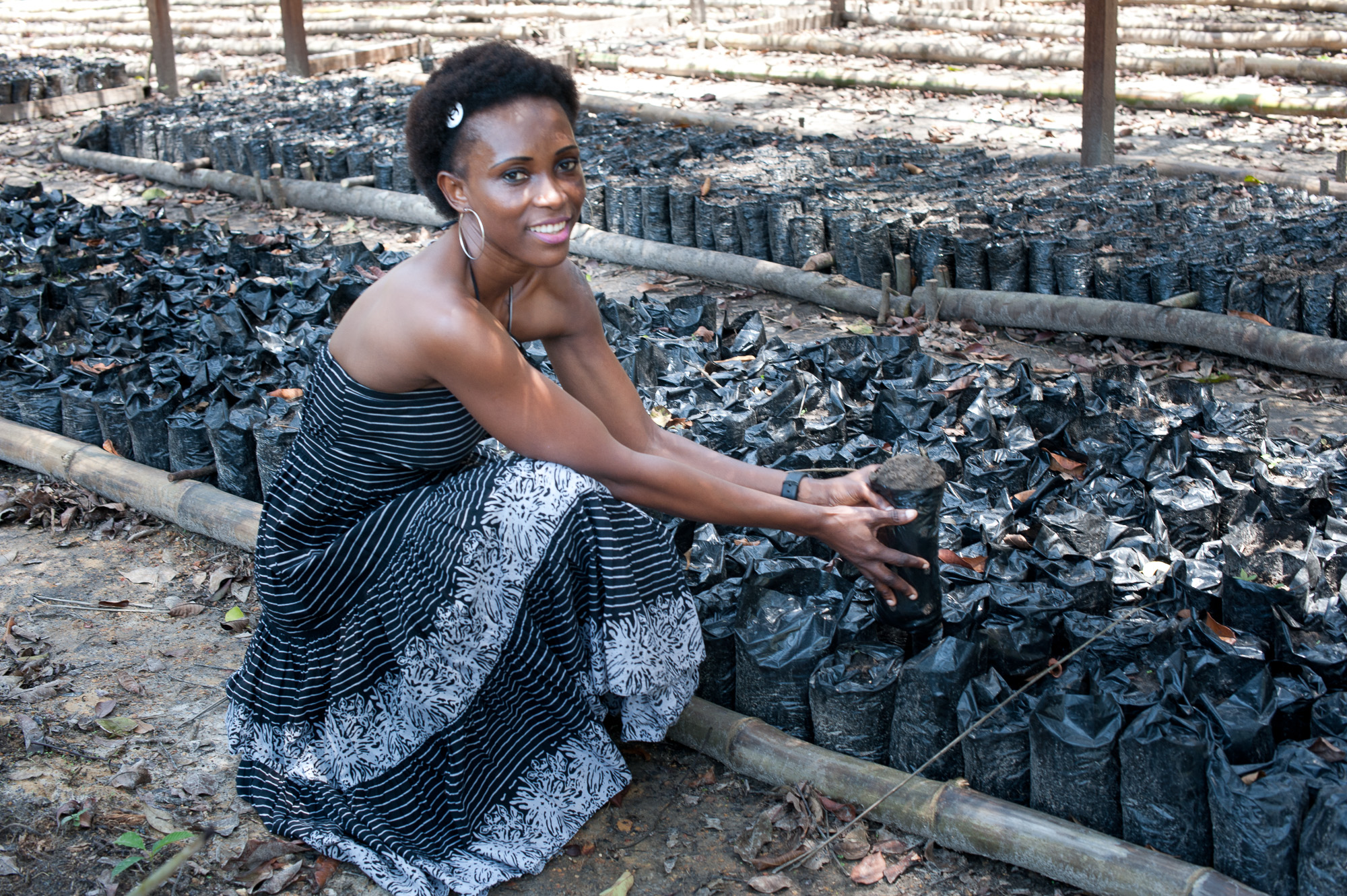 Plantation de Julie dans les 25 hectares de foret primaire