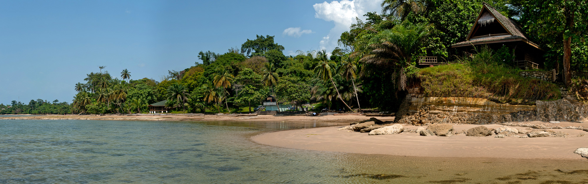 plage et foret primaire