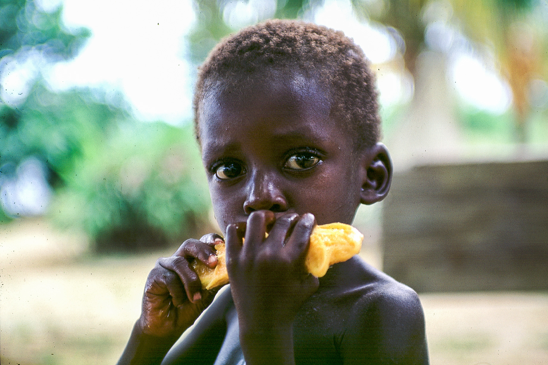 Enfant surinamien sur les bords du fleuve.