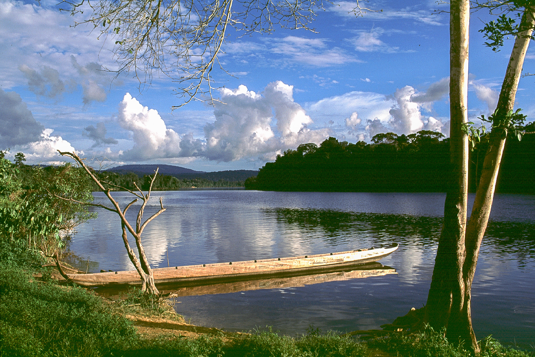 Pirogue d'indien sur les berges du fleuve.